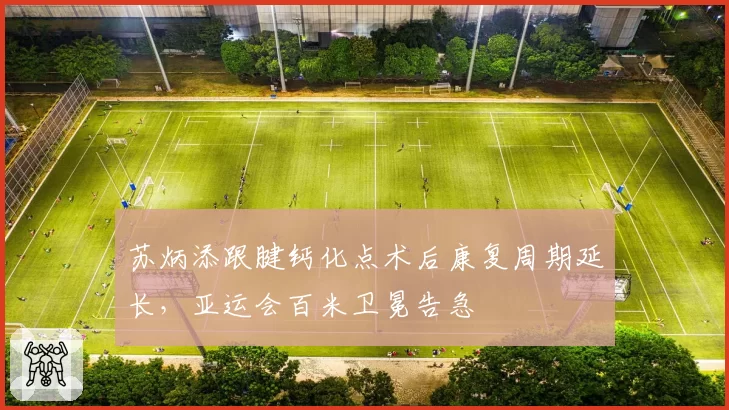 苏炳添跟腱钙化点术后康复周期延长，亚运会百米卫冕告急