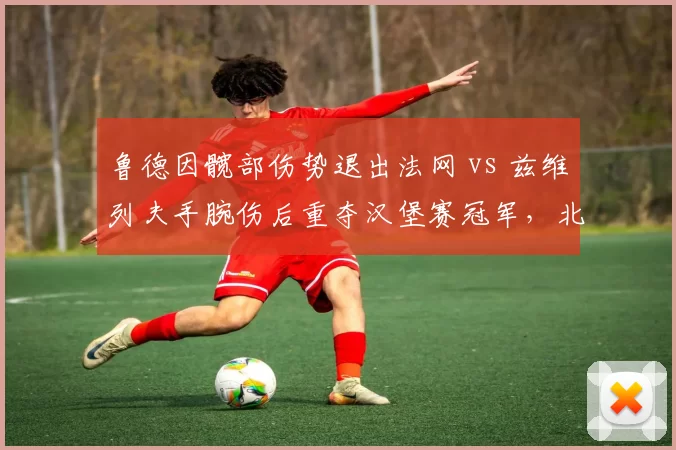 鲁德因髋部伤势退出法网 vs 兹维列夫手腕伤后重夺汉堡赛冠军，北欧红土高手与德国一哥复出效率对比